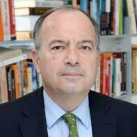 Sedat Ergin