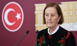 DEVA Partili Kavaf’tan iktidara üç soru önergesi