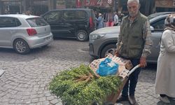 Diyarbakır'da Mehmet Turhan, 50 yıldır el arabasıyla geçimini sağlıyor