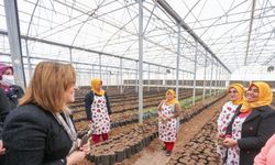 Gastronomi ve Tarımsal Eğitim Merkezi’nde tohumlar toprakla buluştu 