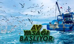 Denizlerde av yasağı başlıyor