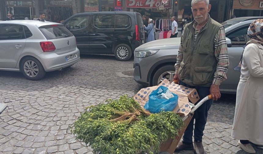 Diyarbakır'da Mehmet Turhan, 50 yıldır el arabasıyla geçimini sağlıyor